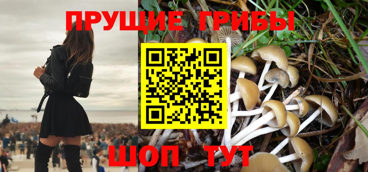 Шахты  Псилоцибиновые грибы Cubensis  Вход с VPN 