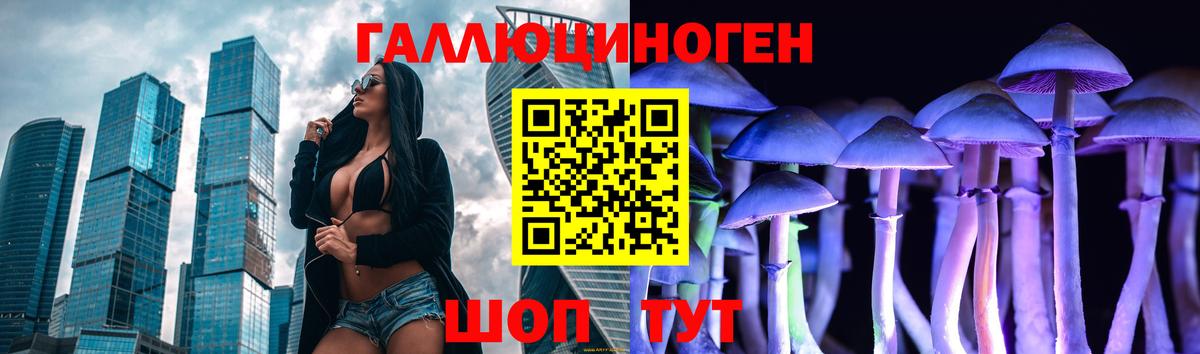 Псилоцибиновые грибы прущие грибы Шахты